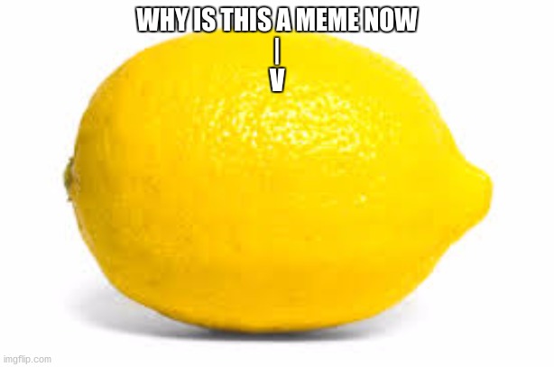 what | WHY IS THIS A MEME NOW
|
V | image tagged in lemon | made w/ Imgflip meme maker