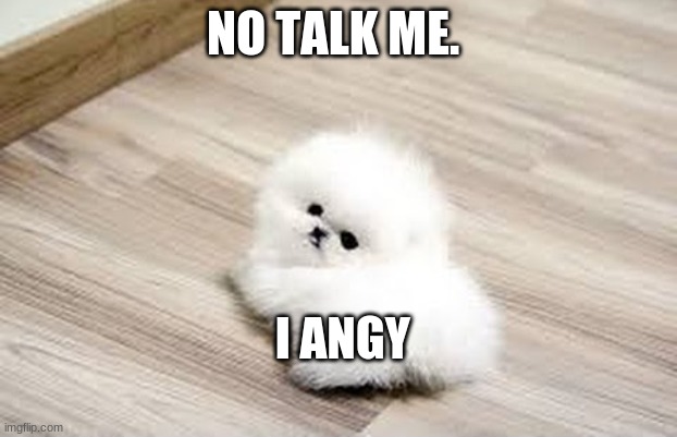 he angy tho no talk him | NO TALK ME. I ANGY | image tagged in funny | made w/ Imgflip meme maker