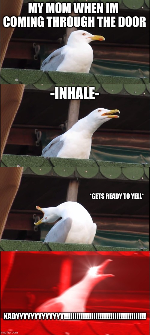 Inhaling Seagull Meme | MY MOM WHEN IM  COMING THROUGH THE DOOR; -INHALE-; *GETS READY TO YELL*; KADYYYYYYYYYYYYY!!!!!!!!!!!!!!!!!!!!!!!!!!!!!!!!!!!!!!! | image tagged in memes,inhaling seagull | made w/ Imgflip meme maker