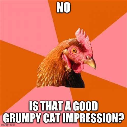 Anti Joke Chicken | NO; IS THAT A GOOD GRUMPY CAT IMPRESSION? | image tagged in memes,anti joke chicken | made w/ Imgflip meme maker