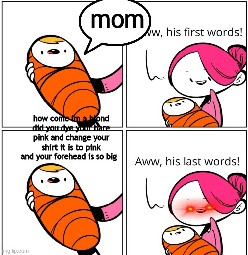 Aww, His Last Words | mom; how come im a blond did you dye your hare pink and change your shirt it is to pink and your forehead is so big | image tagged in aww his last words | made w/ Imgflip meme maker