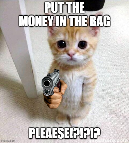 Cute Cat | PUT THE MONEY IN THE BAG; PLEAESE!?!?!? | image tagged in memes,cute cat | made w/ Imgflip meme maker