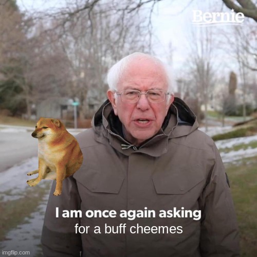 Bernie I Am Once Again Asking For Your Support | for a buff cheemes | image tagged in memes,bernie i am once again asking for your support | made w/ Imgflip meme maker