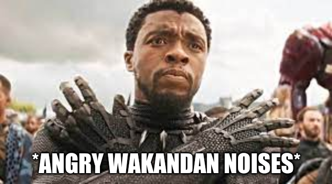 *angry wakandan noises* Blank Meme Template