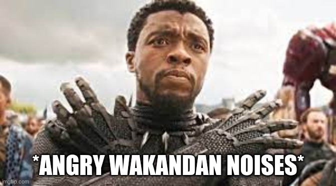 new template | image tagged in angry wakandan noises | made w/ Imgflip meme maker