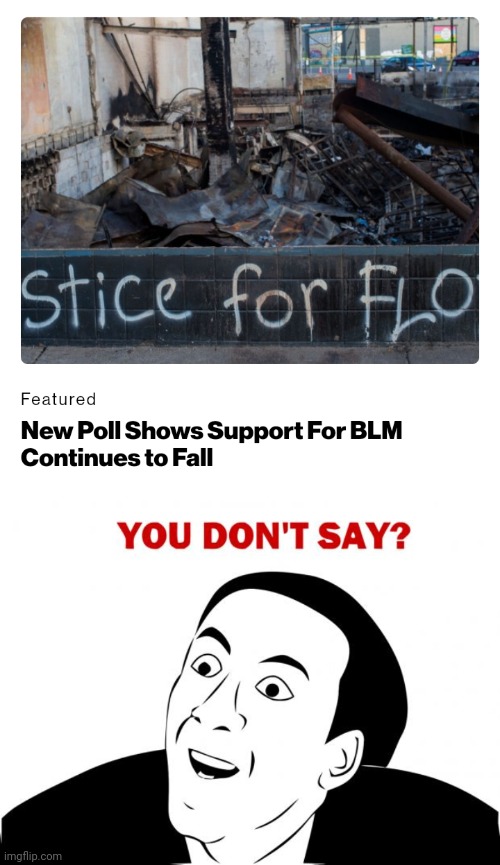 Politics and stuff | image tagged in memes,you don't say | made w/ Imgflip meme maker