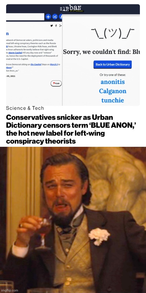 Politics and stuff | image tagged in memes,laughing leo | made w/ Imgflip meme maker