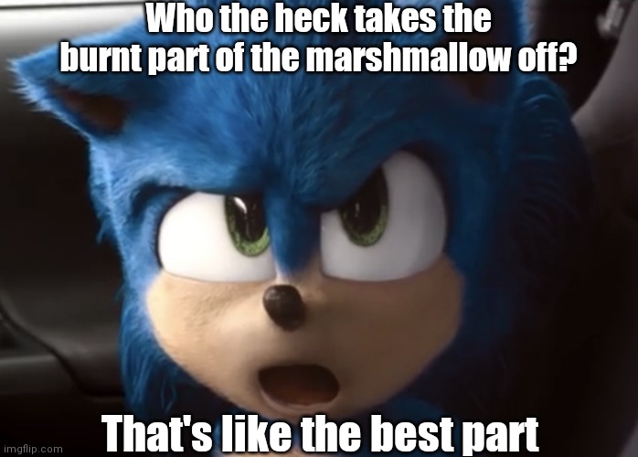 Shocked Sonic | Who the heck takes the burnt part of the marshmallow off? That's like the best part | image tagged in shocked sonic | made w/ Imgflip meme maker