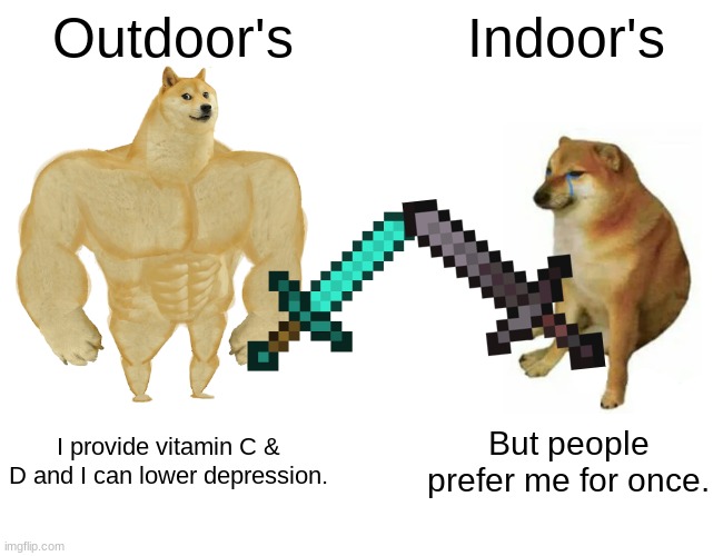 Out vs In | Outdoor's; Indoor's; I provide vitamin C & D and I can lower depression. But people prefer me for once. | image tagged in memes,buff doge vs cheems | made w/ Imgflip meme maker