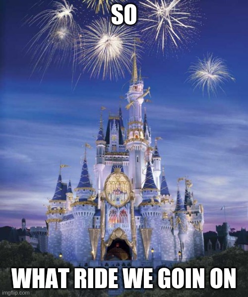 Disney | SO; WHAT RIDE WE GOIN ON | image tagged in disney | made w/ Imgflip meme maker