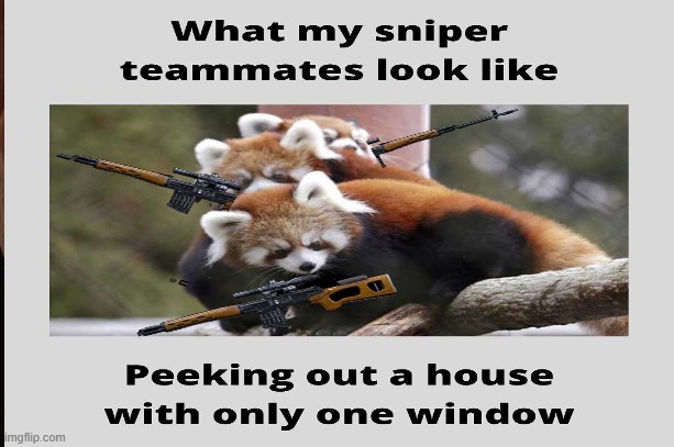 COD be like | image tagged in cod,sniper,funny not funny | made w/ Imgflip meme maker