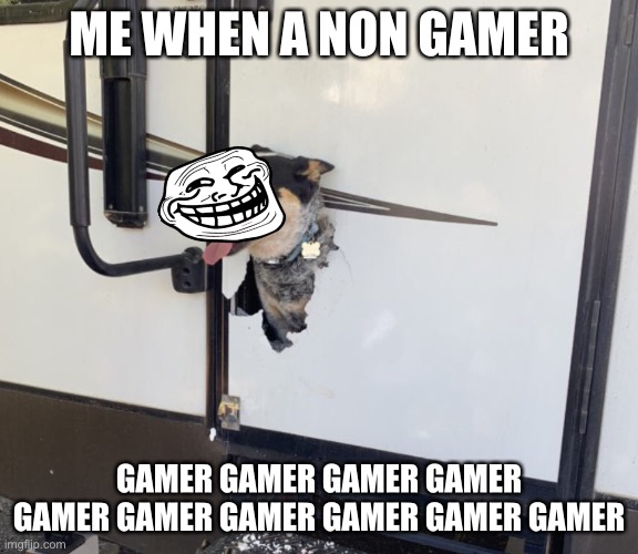 The descent begins | ME WHEN A NON GAMER; GAMER GAMER GAMER GAMER GAMER GAMER GAMER GAMER GAMER GAMER | image tagged in dog | made w/ Imgflip meme maker