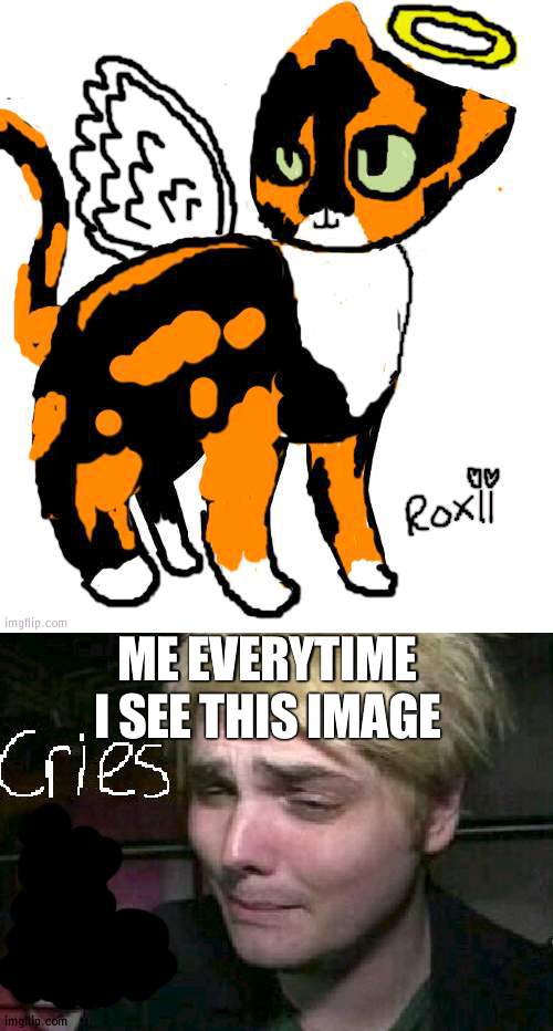ME EVERYTIME I SEE THIS IMAGE | image tagged in roxii | made w/ Imgflip meme maker