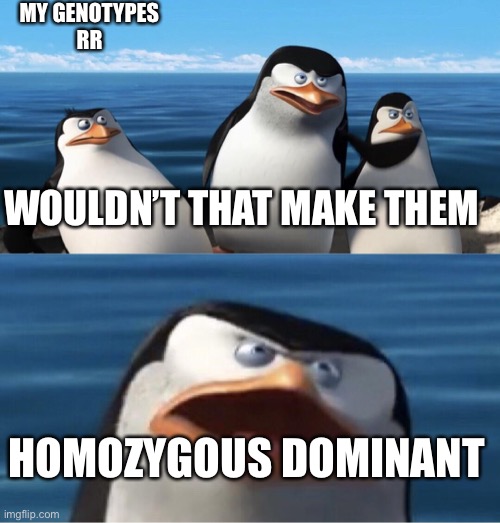 We learned this in science | MY GENOTYPES
RR; WOULDN’T THAT MAKE THEM; HOMOZYGOUS DOMINANT | image tagged in wouldn't that make you | made w/ Imgflip meme maker