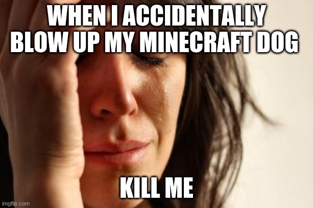 First World Problems Meme | WHEN I ACCIDENTALLY BLOW UP MY MINECRAFT DOG; KILL ME | image tagged in memes,first world problems | made w/ Imgflip meme maker