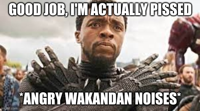 *angry wakandan noises* | GOOD JOB, I'M ACTUALLY PISSED | image tagged in angry wakandan noises | made w/ Imgflip meme maker