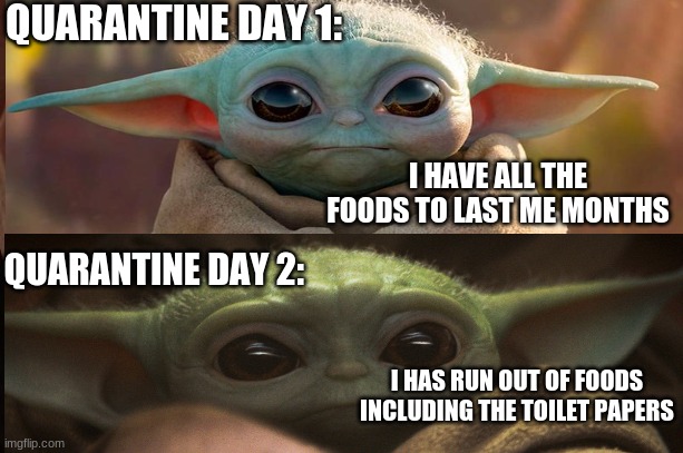 Baby Yoda | QUARANTINE DAY 1:; I HAVE ALL THE FOODS TO LAST ME MONTHS; QUARANTINE DAY 2:; I HAS RUN OUT OF FOODS INCLUDING THE TOILET PAPERS | image tagged in baby yoda,funny | made w/ Imgflip meme maker