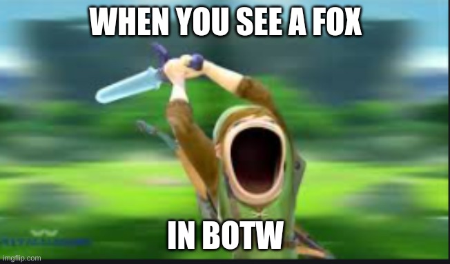 FOX | WHEN YOU SEE A FOX; IN BOTW | image tagged in the legend of zelda | made w/ Imgflip meme maker