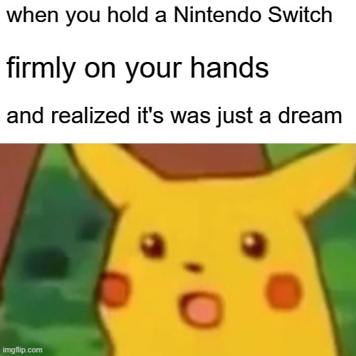 Surprised Pikachu Meme | when you hold a Nintendo Switch; firmly on your hands; and realized it's was just a dream | image tagged in memes,surprised pikachu | made w/ Imgflip meme maker
