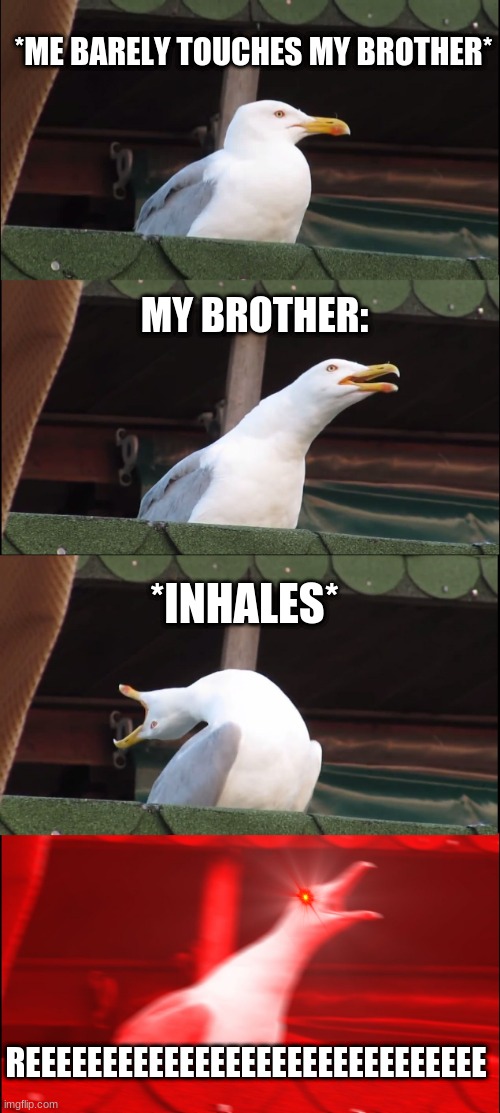 MOMMMMMMMMM | *ME BARELY TOUCHES MY BROTHER*; MY BROTHER:; *INHALES*; REEEEEEEEEEEEEEEEEEEEEEEEEEEEEE | image tagged in memes,inhaling seagull,brother | made w/ Imgflip meme maker