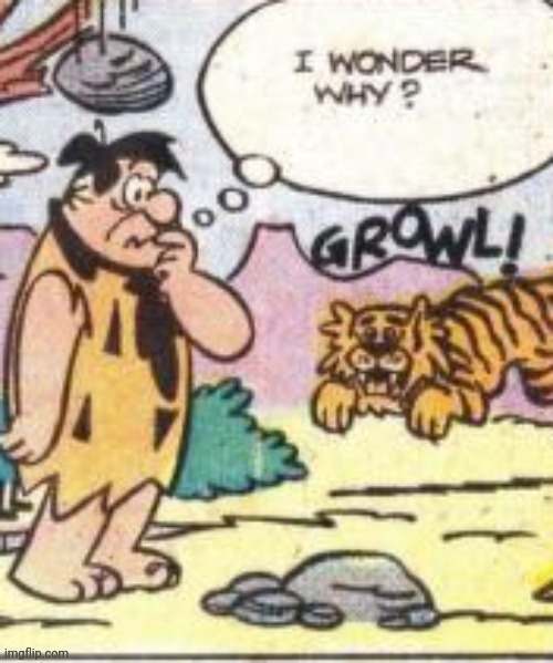 image tagged in i wonder why | made w/ Imgflip meme maker