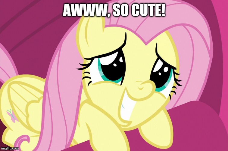 AWWW, SO CUTE! | made w/ Imgflip meme maker