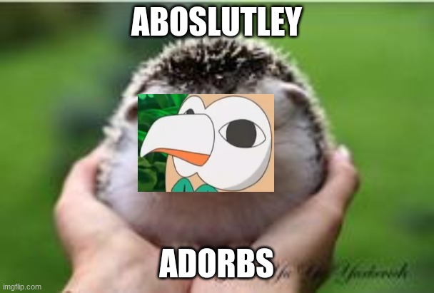 AdorbHedgehog | ABOSLUTLEY ADORBS | image tagged in adorbhedgehog | made w/ Imgflip meme maker