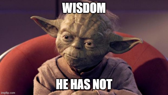 Yoda Wisdom | WISDOM HE HAS NOT | image tagged in yoda wisdom | made w/ Imgflip meme maker