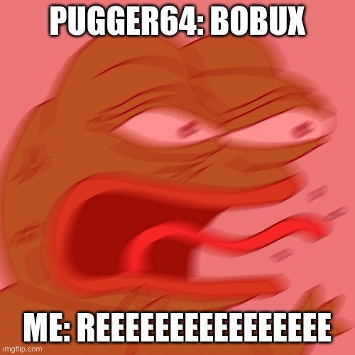 REEEEEEEEEEEEEEEEEEEEEE | PUGGER64: BOBUX ME: REEEEEEEEEEEEEEEE | image tagged in reeeeeeeeeeeeeeeeeeeeee | made w/ Imgflip meme maker