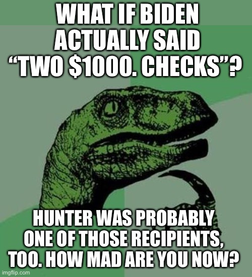 Biden $2000 check? Or 2 thousand dollar checks? | WHAT IF BIDEN ACTUALLY SAID “TWO $1000. CHECKS”? HUNTER WAS PROBABLY ONE OF THOSE RECIPIENTS, TOO. HOW MAD ARE YOU NOW? | image tagged in biden,joe biden,stimulus,government gimmedats,liar,you got conned | made w/ Imgflip meme maker