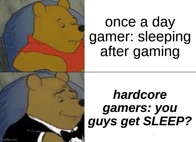 gamers be like | once a day gamer: sleeping after gaming; hardcore gamers: you guys get SLEEP? | image tagged in memes,tuxedo winnie the pooh | made w/ Imgflip meme maker