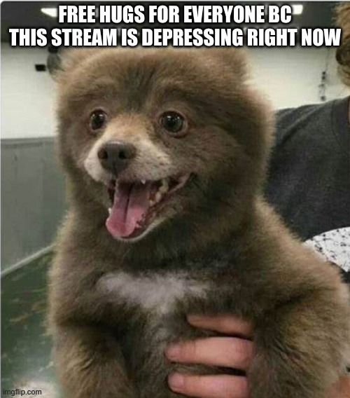 :) | FREE HUGS FOR EVERYONE BC THIS STREAM IS DEPRESSING RIGHT NOW | image tagged in smol bear | made w/ Imgflip meme maker