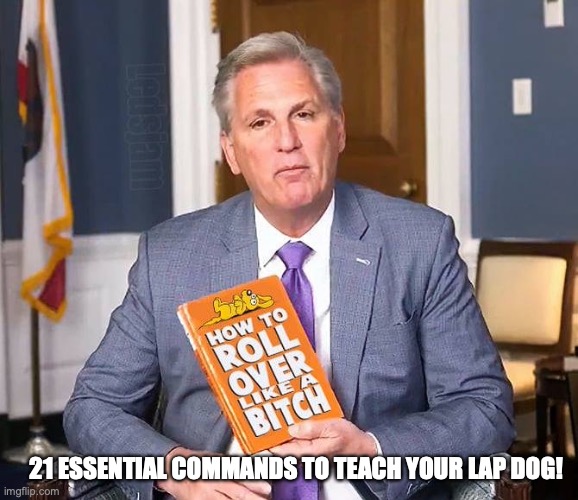 Meet Kevin McCarthy,  the leader of Trump’s troop of enablers! | 21 ESSENTIAL COMMANDS TO TEACH YOUR LAP DOG! | image tagged in kevin mccarthy,donald trump,lap dog,spineless,bitch,scumbag republicans | made w/ Imgflip meme maker