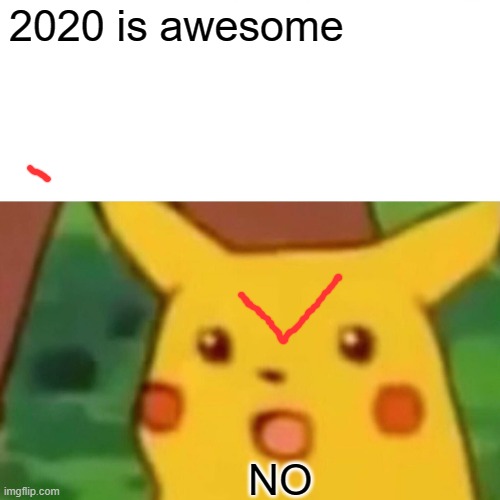 Surprised Pikachu | 2020 is awesome; NO | image tagged in memes,surprised pikachu | made w/ Imgflip meme maker