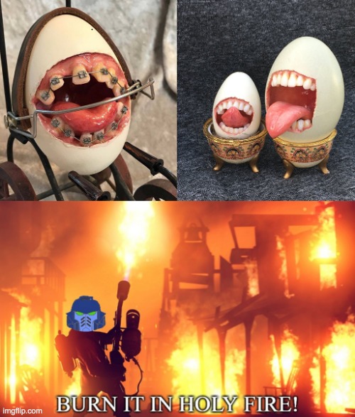 no | image tagged in burn it in holy fire 1 | made w/ Imgflip meme maker