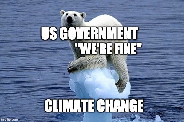 polar bear climate change | US GOVERNMENT; "WE'RE FINE"; CLIMATE CHANGE | image tagged in polar bear climate change | made w/ Imgflip meme maker