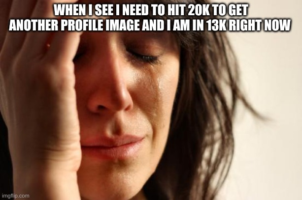 First World Problems | WHEN I SEE I NEED TO HIT 20K TO GET ANOTHER PROFILE IMAGE AND I AM IN 13K RIGHT NOW | image tagged in memes,first world problems | made w/ Imgflip meme maker