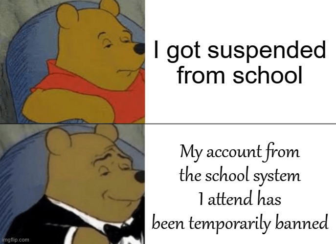 Image Title | I got suspended from school; My account from the school system I attend has been temporarily banned | image tagged in memes,tuxedo winnie the pooh | made w/ Imgflip meme maker