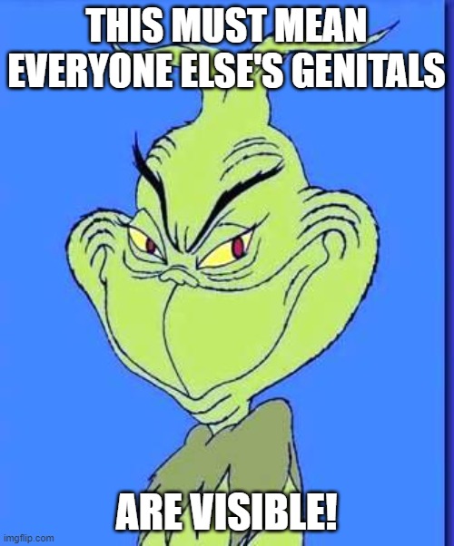 Good Grinch | THIS MUST MEAN EVERYONE ELSE'S GENITALS ARE VISIBLE! | image tagged in good grinch | made w/ Imgflip meme maker