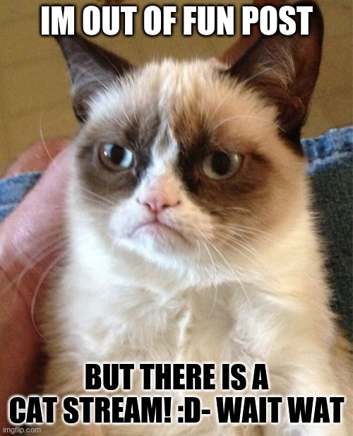 cat | IM OUT OF FUN POST; BUT THERE IS A CAT STREAM! :D- WAIT WAT | image tagged in memes,grumpy cat | made w/ Imgflip meme maker