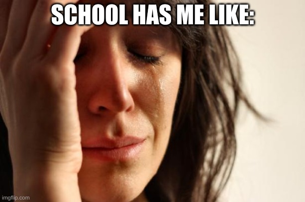 School :( | SCHOOL HAS ME LIKE: | image tagged in memes,first world problems | made w/ Imgflip meme maker