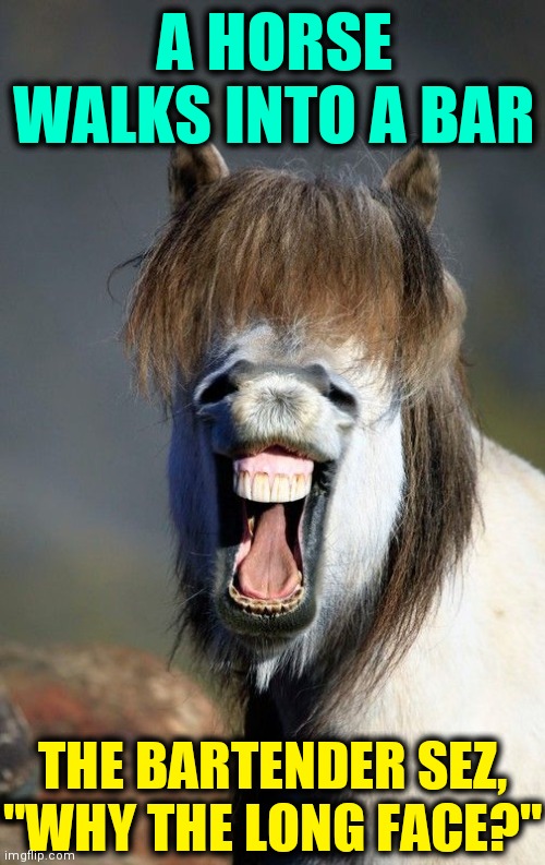 Sharing a Horse Laugh with Dobbins | A HORSE WALKS INTO A BAR; THE BARTENDER SEZ, "WHY THE LONG FACE?" | image tagged in vince vance,horses,horse face,funny animal meme,horse laugh,long face | made w/ Imgflip meme maker