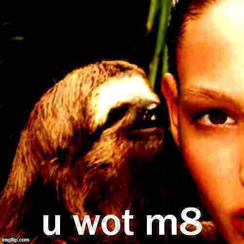 Whisper sloth u wot m8 | image tagged in whisper sloth u wot m8 deep-fried 2,rape sloth,whisper sloth,sloth,u wot m8,deep fried | made w/ Imgflip meme maker
