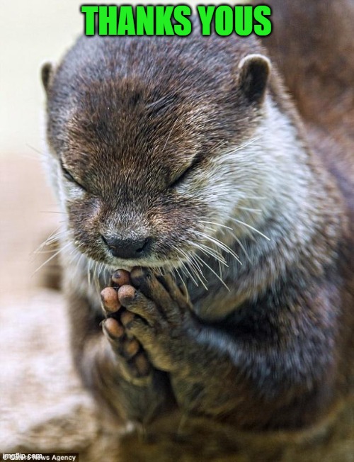 Thank you Lord Otter | THANKS YOUS | image tagged in thank you lord otter | made w/ Imgflip meme maker