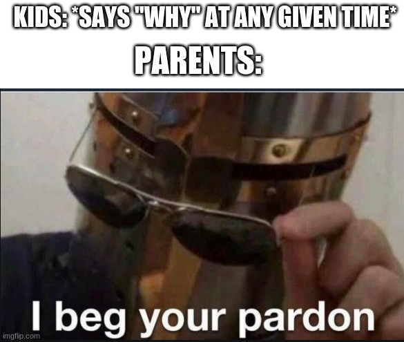 ......why. | KIDS: *SAYS "WHY" AT ANY GIVEN TIME*; PARENTS: | image tagged in i beg your pardon,memes | made w/ Imgflip meme maker