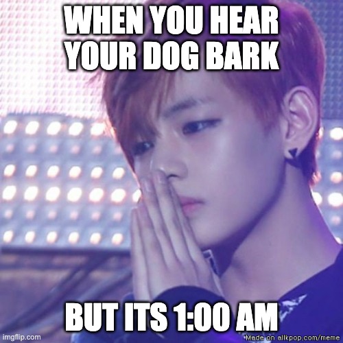 idk | WHEN YOU HEAR YOUR DOG BARK; BUT ITS 1:00 AM | image tagged in bts comeback | made w/ Imgflip meme maker