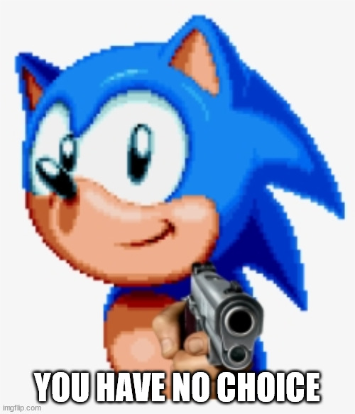 Sonic gun pointed | YOU HAVE NO CHOICE | image tagged in sonic gun pointed | made w/ Imgflip meme maker