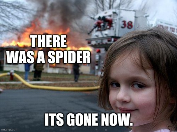 Disaster Girl Meme | THERE WAS A SPIDER; ITS GONE NOW. | image tagged in memes,disaster girl | made w/ Imgflip meme maker