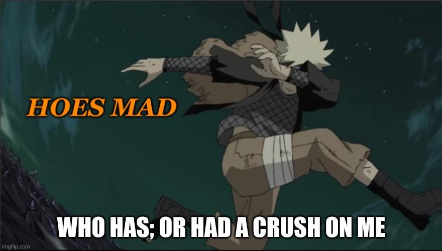 Naruto Hoes Mad | WHO HAS; OR HAD A CRUSH ON ME | image tagged in naruto hoes mad | made w/ Imgflip meme maker