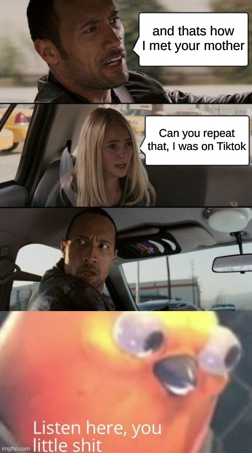 Yo as better be off Tiktok | and thats how I met your mother; Can you repeat that, I was on Tiktok | image tagged in memes,the rock driving,listen here you little shit,tik tok sucks,fun | made w/ Imgflip meme maker